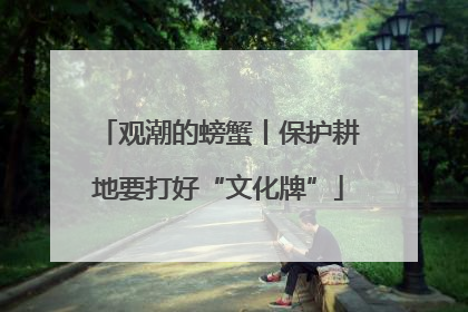 观潮的螃蟹丨保护耕地要打好“文化牌”